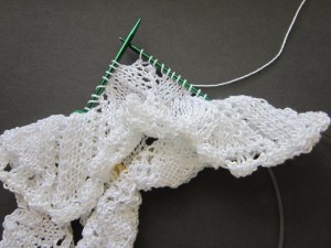 h147-knitting-on-shorter-circ-closeup